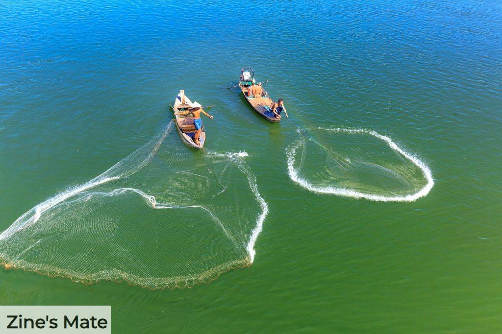 ir de pesca