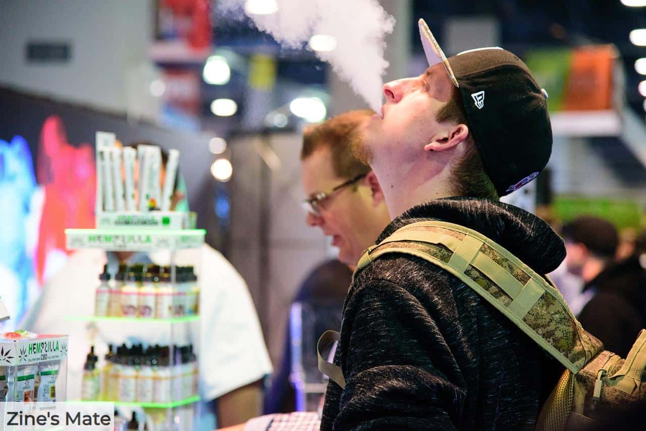 Vaporizadores PAX para CBD y HHC