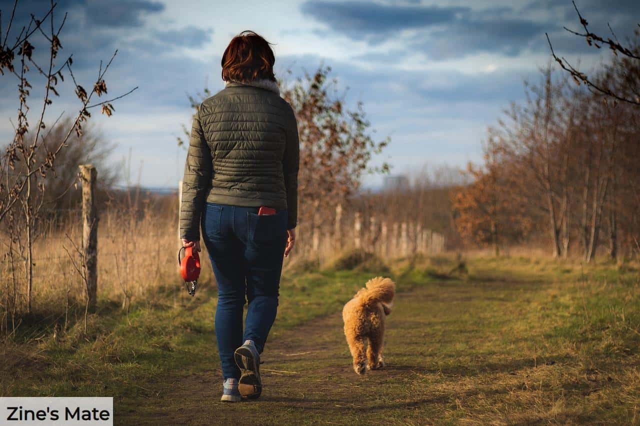 Beneficios de caminar 10.000 pasos al día